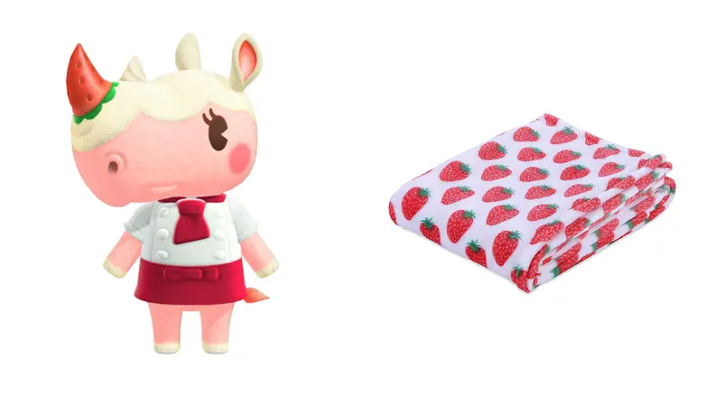 Merengue next to a colorful blanket