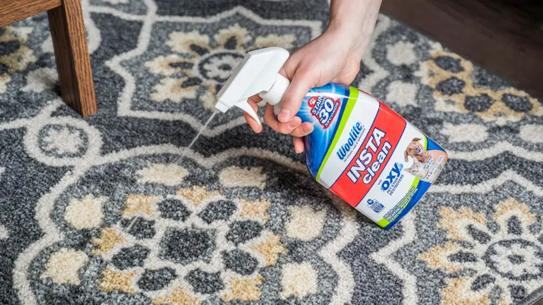 A person spraying Woolite InstaClean carpet stain remover onto a carpet.