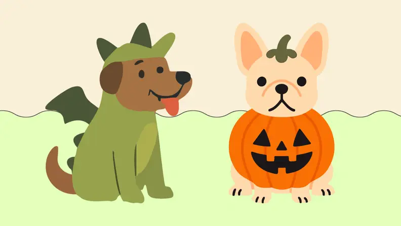 Two dogs in costume on a yellow and green background