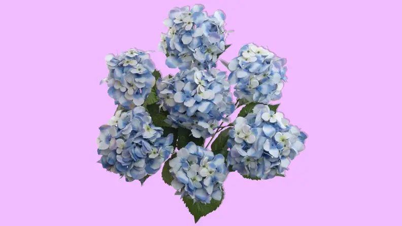Best places to buy artificial flowers: Wayfair