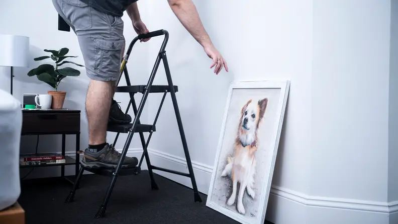 A person climbs a 3-step stool and reaches for a portrait of a dog