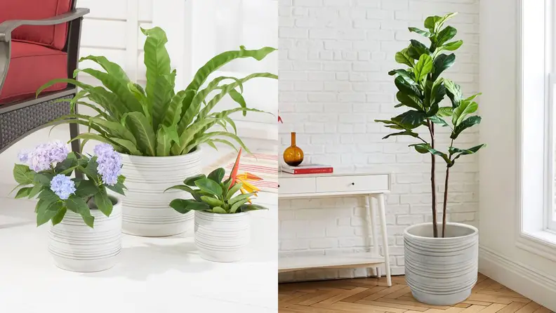 Planters