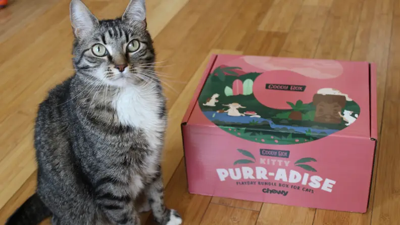 These curated Goody Boxes are available for dogs and cats.