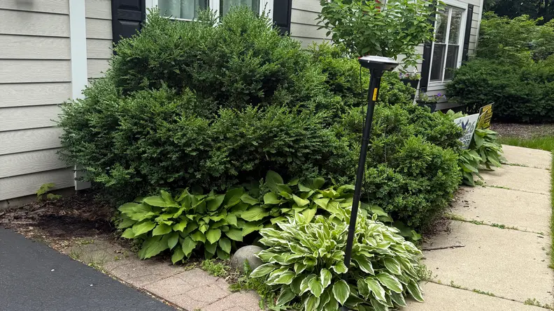 Sensor of the Sunseeker Elite X7 robot lawn mower shown in front of a light grey house with green bushes.