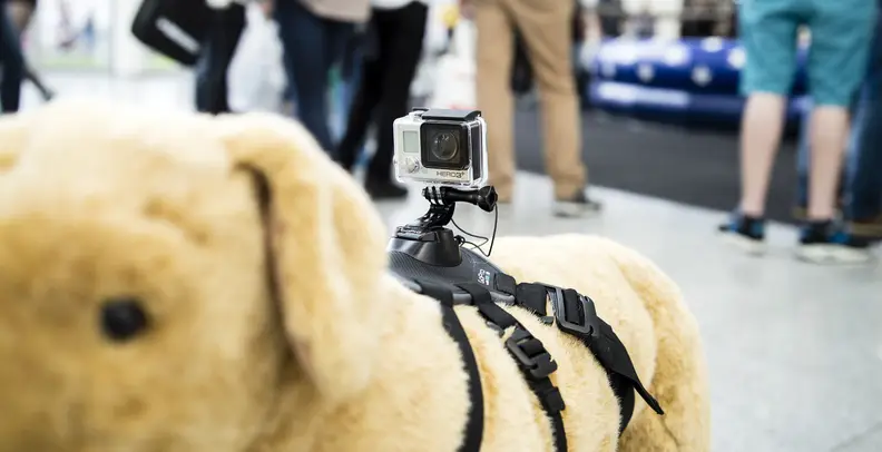 GoPro Dog Mount