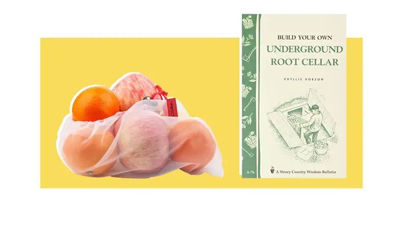 A plastic bag filled with apples and oranges next to a book in front of a background.