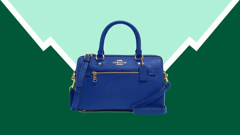 A blue purse against a green background.