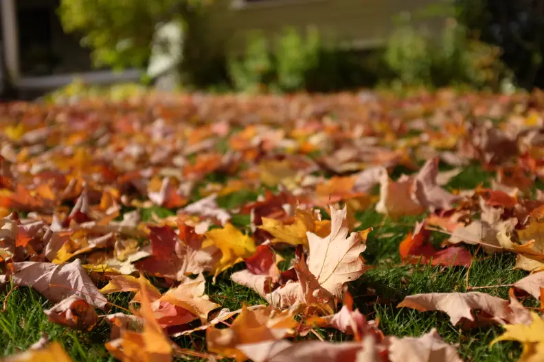 EXIF: 23mm 1/4000 @ f/2