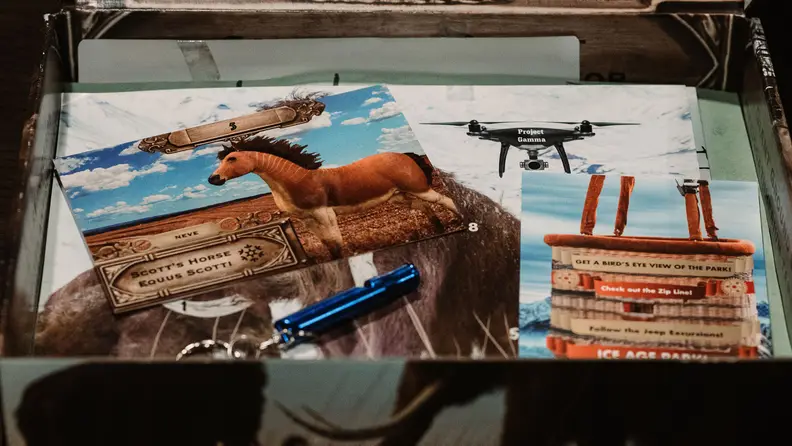 An Escape the Crate "Ice Age Park" game kit.