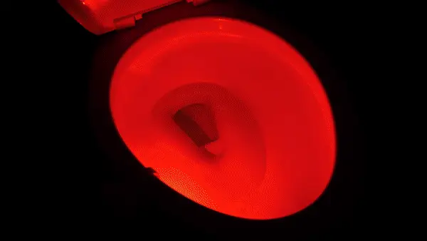 ToiletLights In Motion