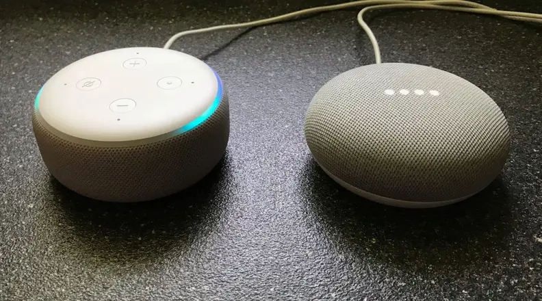 Echo Dot and Home Mini side by side