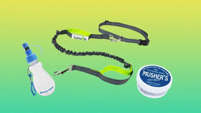 A portable dog water bottle, dog leash, and jar of ointment for dog paws on a green gradient background