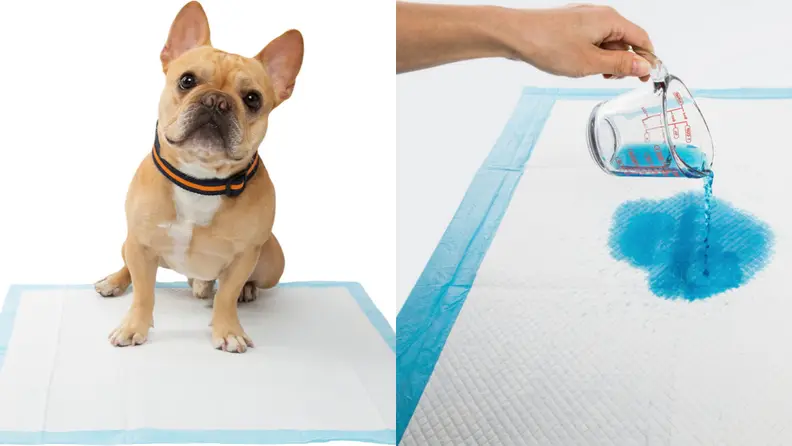 Pee pads are a must-have if your foster dog needs potty training help.