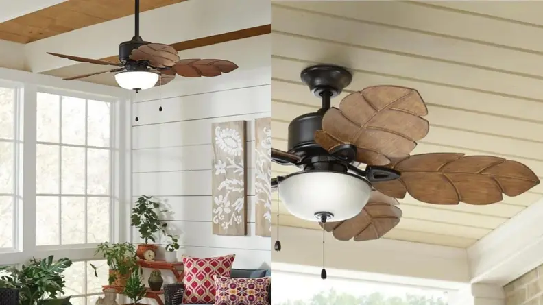 Home Decorators Collection Palm Cove