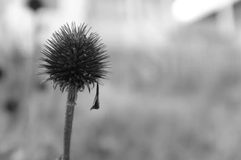 EXIF: 23mm 1/200 @ f/2.8