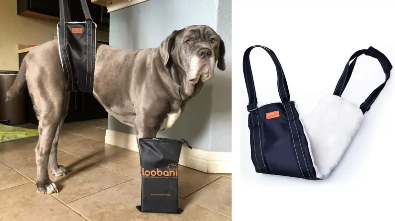 Pup sling