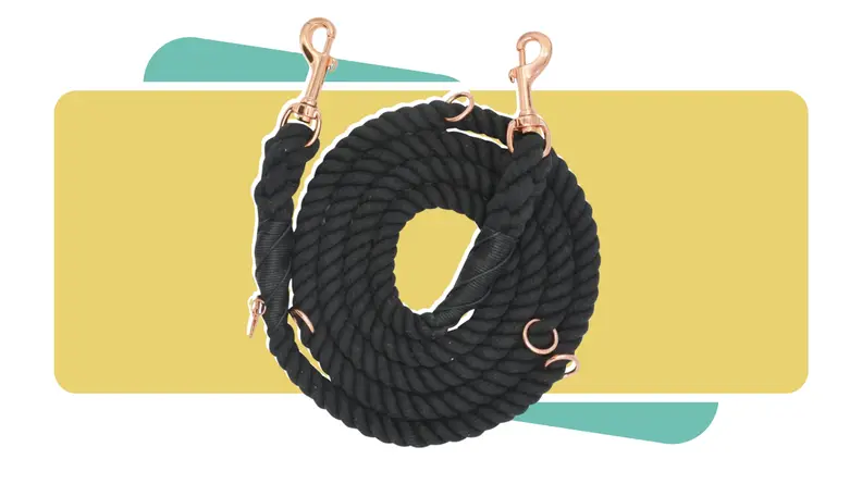 The black, Sassy Woof, hands-free leash