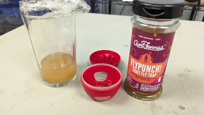 The Aunt Fannie's FlyPunch next to a clear glass with the fly cocktail inside.