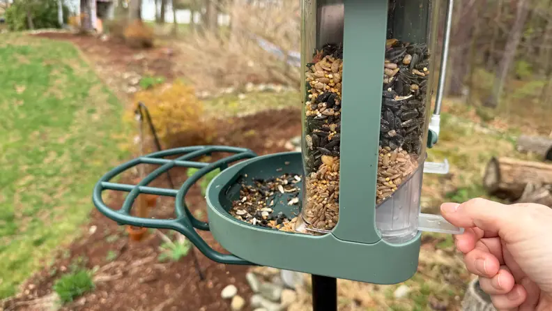 Bird seed shown in Kiwibit Bird Feeder 2 with two different compartments, outside in frontn of grass and leaves.