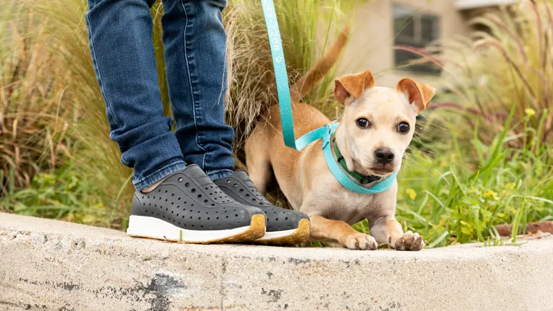 A child's feet in Native shoes with their puppy nearby.