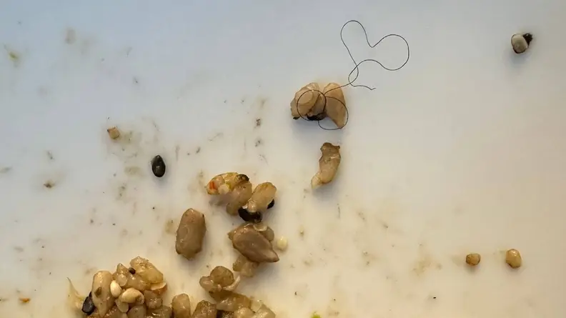Black strain of hair wrapped around a piece of food.