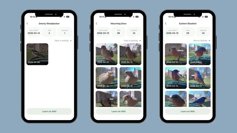 Three iPhone screen images showing the various uses of the Kiwibit app against a blue background.