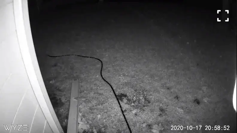 Wyze Outdoor Cam night view