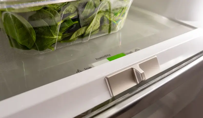 Temperature feature inside of refrigerator.