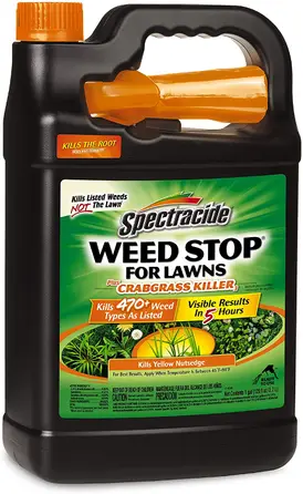 5 Best Weed Killer of 2026 - Reviewed