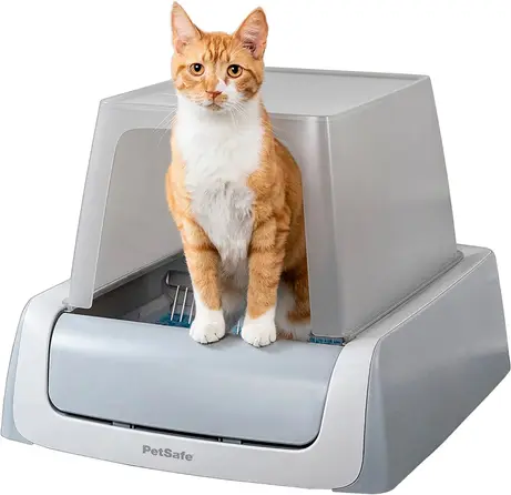 7 Best Self-Cleaning Litter Boxes of 2026 - Reviewed
