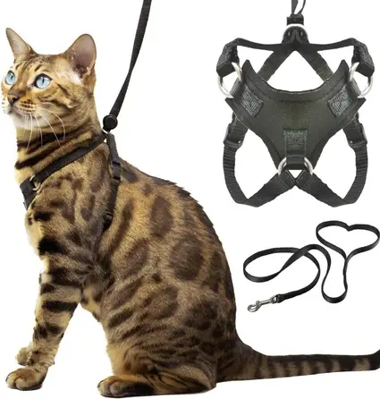 12 foot leather dog leash 4 ft Leather Leash – Outdoor Dog Supply main image 0