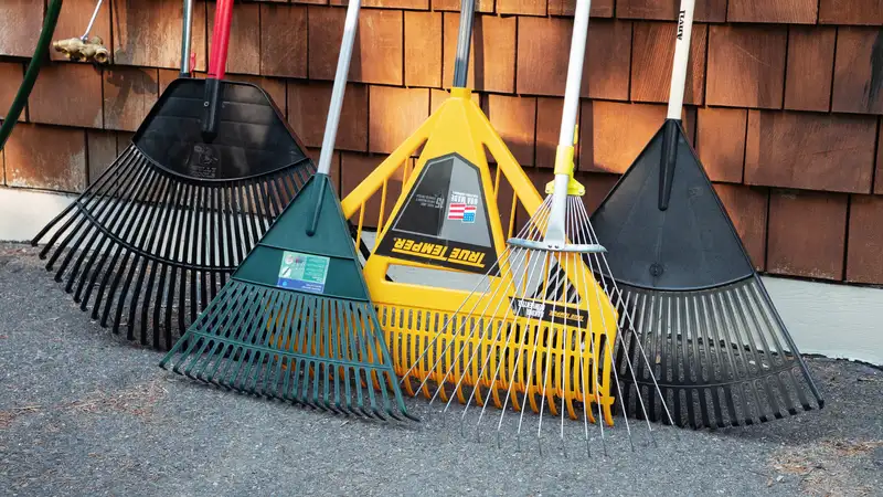 6 Best Rakes of 2026 - Reviewed