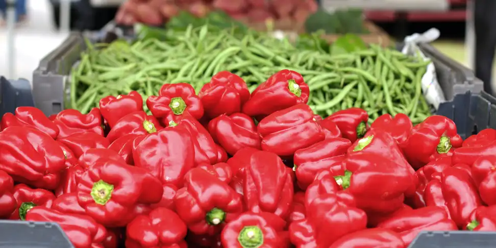 North Charleston Farmers Market