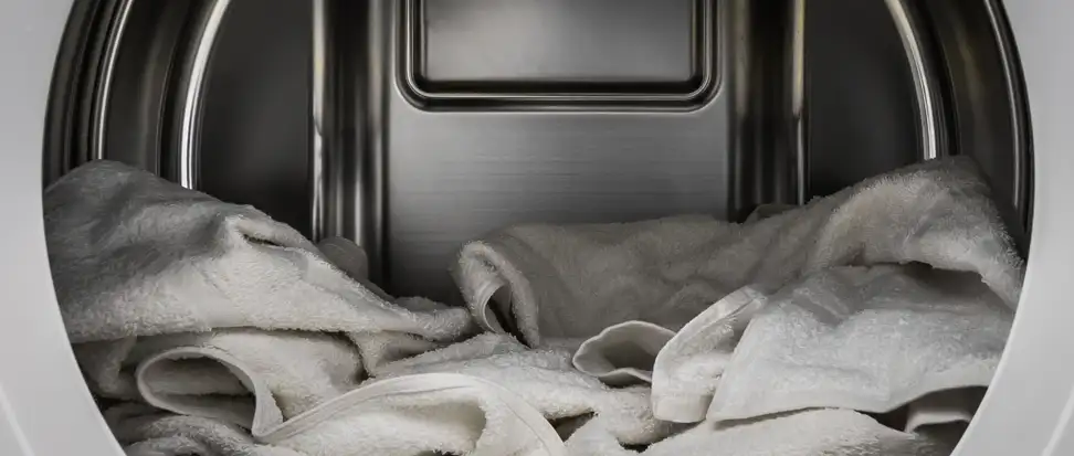 LG DLGX8001W 9-Cu.-Ft. Gas Dryer