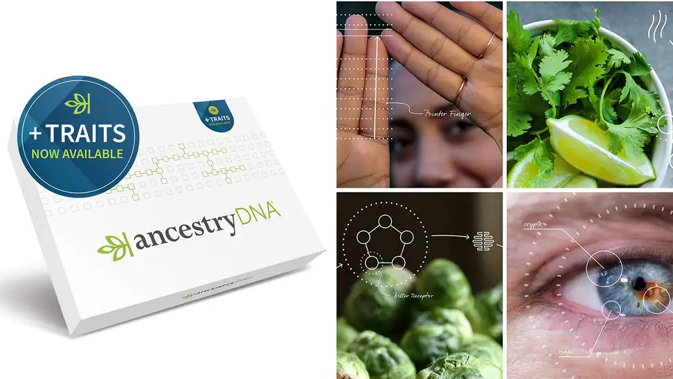 I tried AncestryDNA’s new Traits feature—here’s what I thought