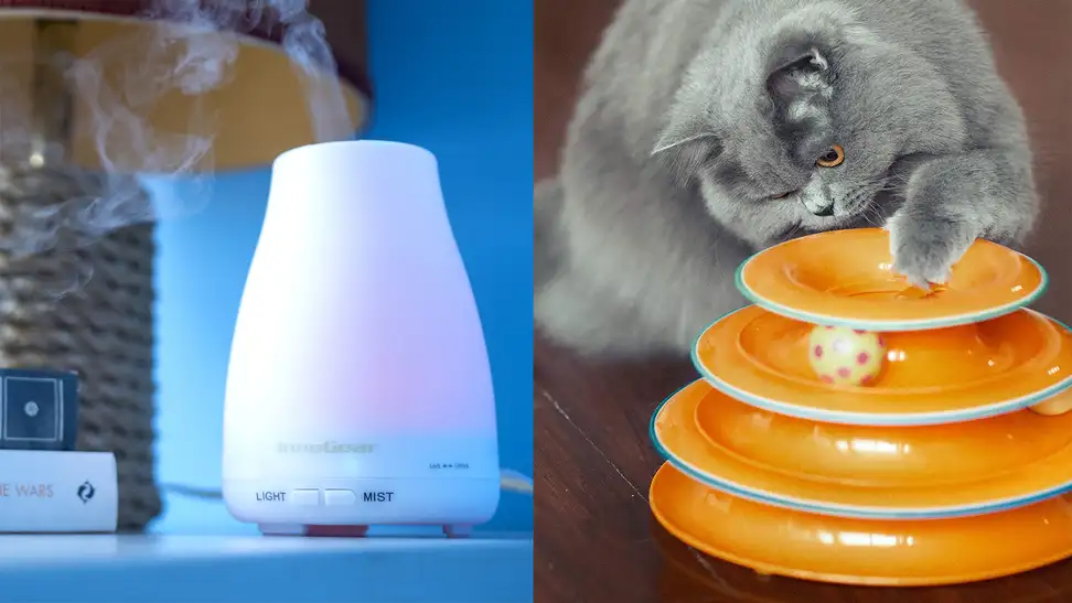 These are the things our readers loved most in March