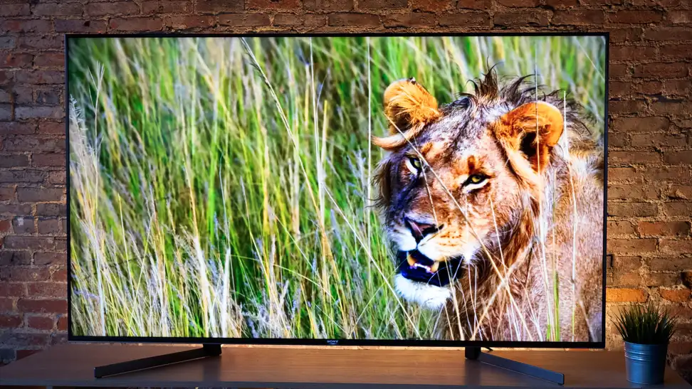 65-inch Sony X950G TV