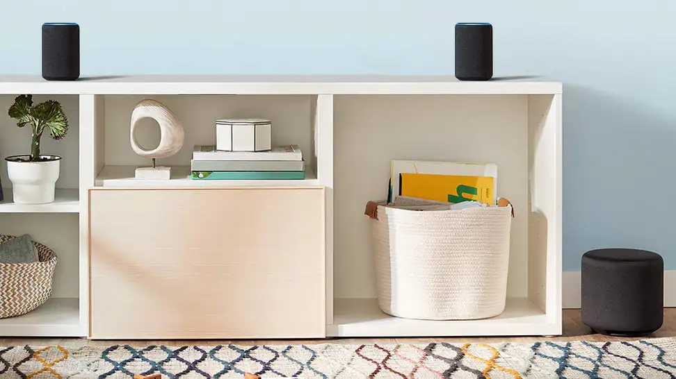 Echo Sub next to shelves with two Echo Pluses