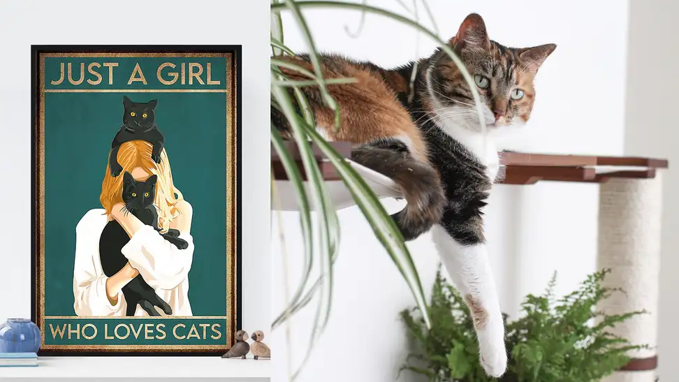 If you love cats, you'll absolutely adore these fun and functional items.