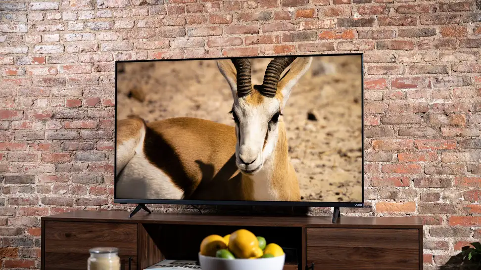 The 55-inch Vizio M-Series (MQ6) displaying 4K/HDR content in a living room setting