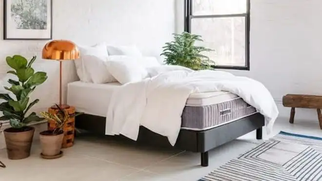 Comfy mattress with white comforter in a simple apartment with some plants