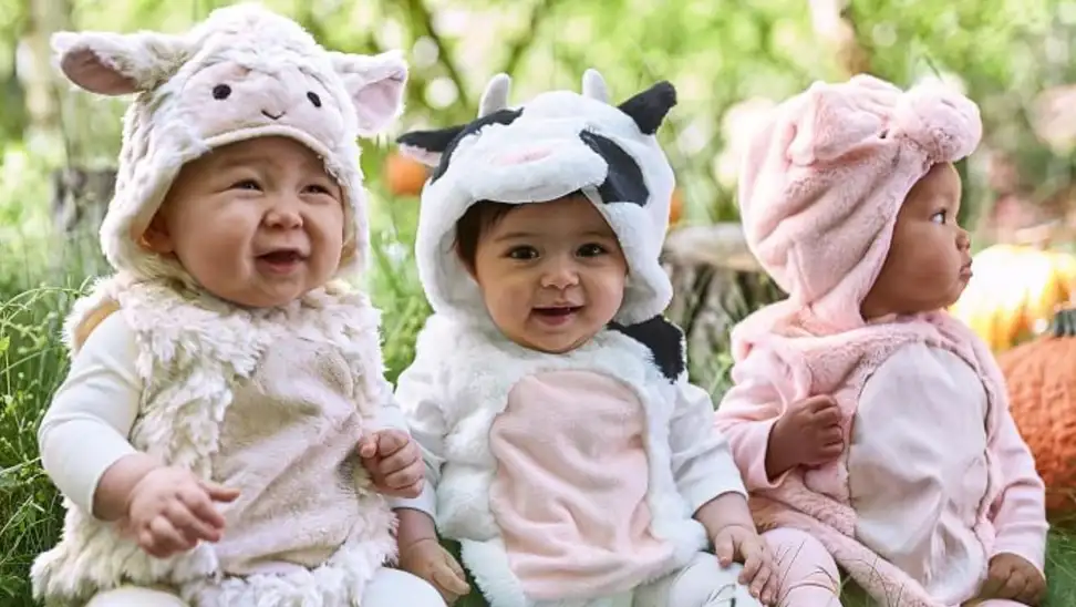 Three infants dressed as barnyard animals for Halloween.