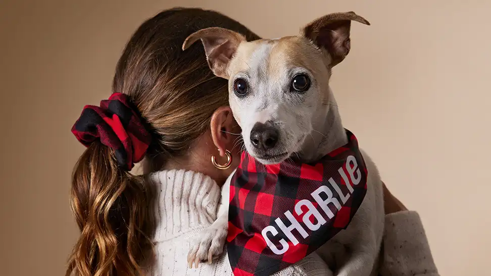 A person rests a small dog on their shoulder.