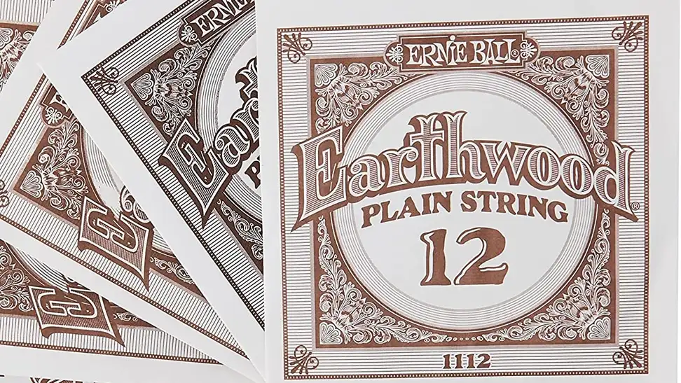 A set of guitar strings.