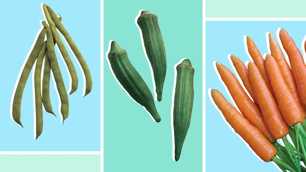 Collage of vegetables in front of a background.