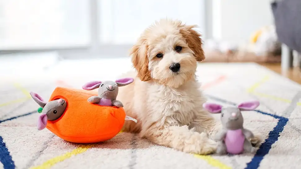 puppy sitting with Zippy Paws burrow toy bunny