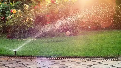 A sprinkler waters a lawn, the sun shining through the water.