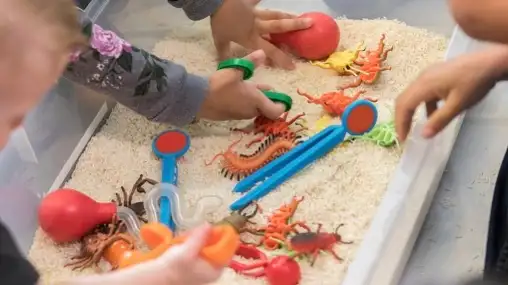 Children playing with a bin of sensory toys (molded to look like bugs and insects) in a tray of rice.