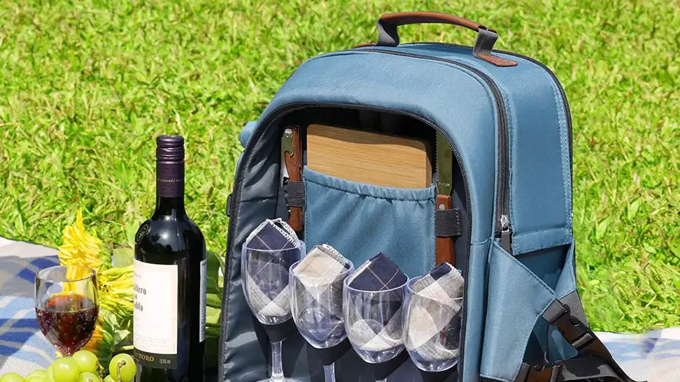 Wine and cheese spread out on a picnic blanket.