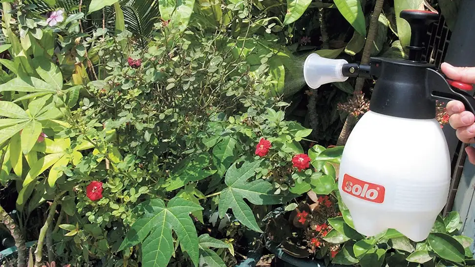 A garden being treated in a backyard with a sprayer.